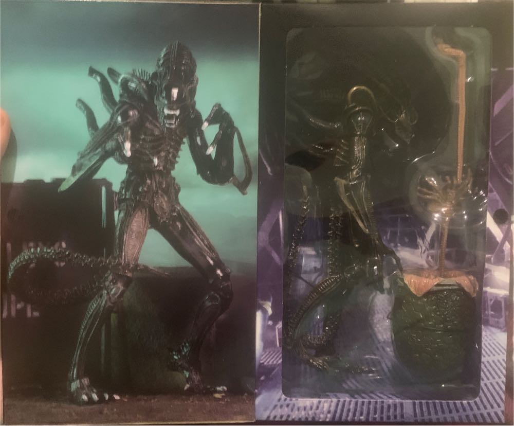 Disney Walt Disney World 50th Anniversary Goofy And Pluto Pin New