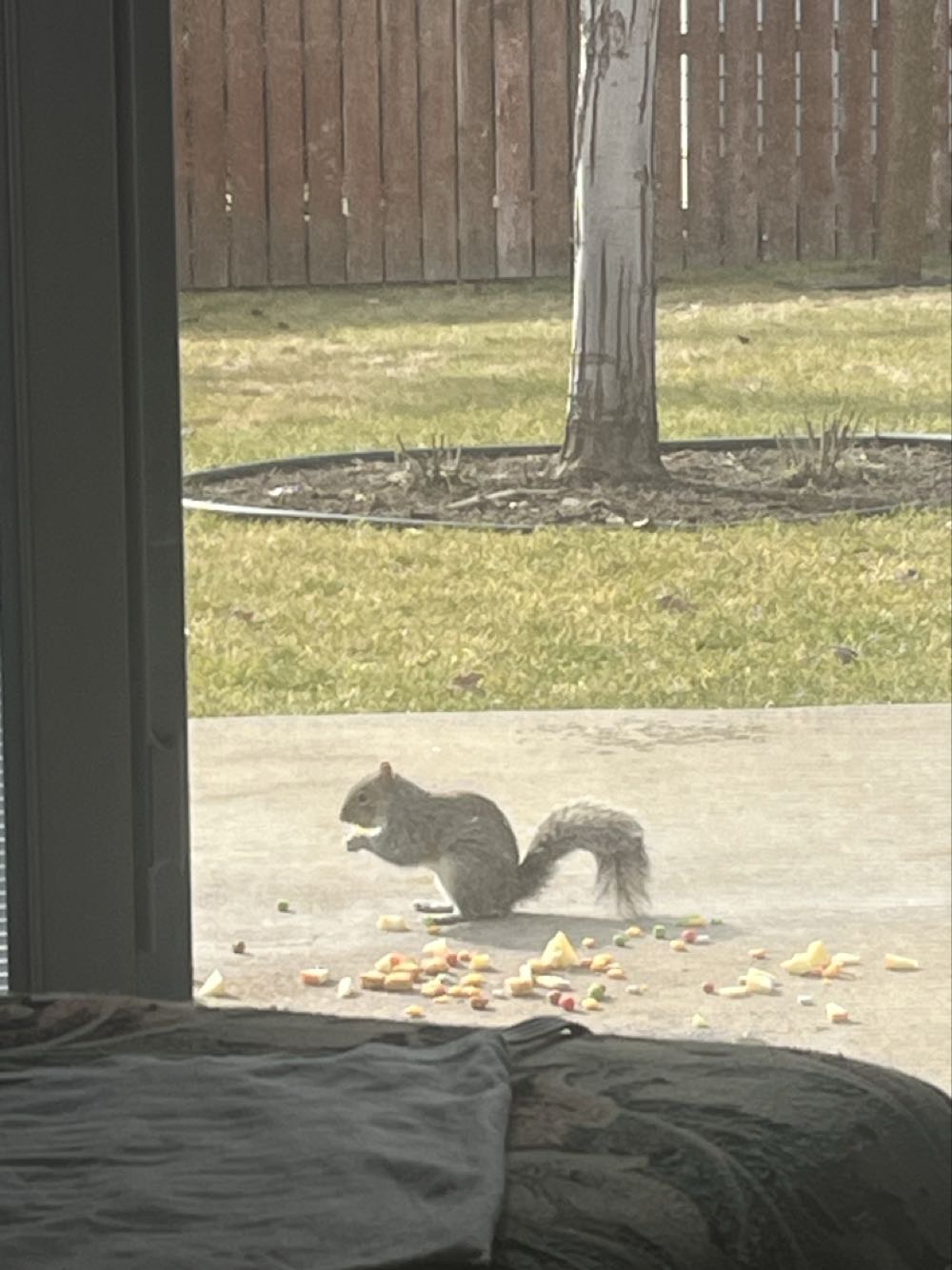 S. H. Figuarts Iron Man Mark 20 (XX) Python