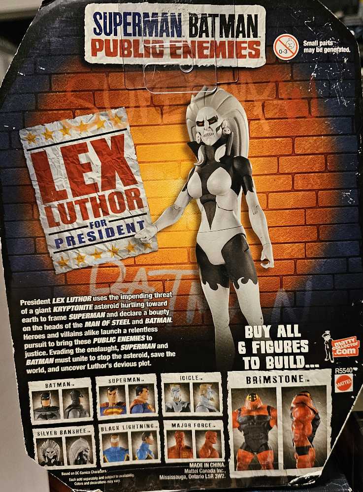 SILVER BANSHEE - Mattel/DC Comics (Superman Batman Public Enemies) action figure collectible [Barcode 027084829105] - Main Image 3