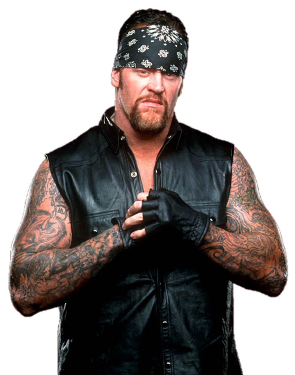 WWE The Undertaker- Top Picks Must Have Superstars - Mattel (WWE Elite Collection *Top Picks*) action figure collectible [Barcode 194735022199] - Main Image 4