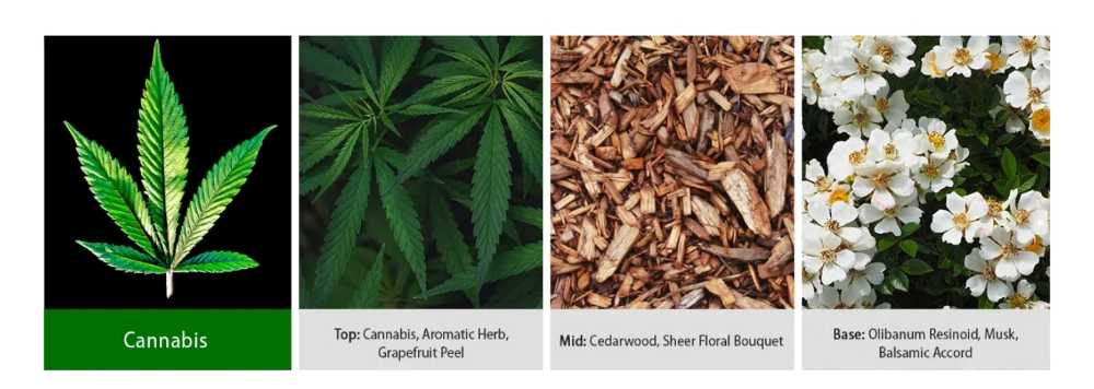 CANDLE: Reserve Line Kringle Candle Cannabis 2022 - Kringle Candle (Kringle Exclusive Candles) action figure collectible [Barcode 846853080758] - Main Image 3