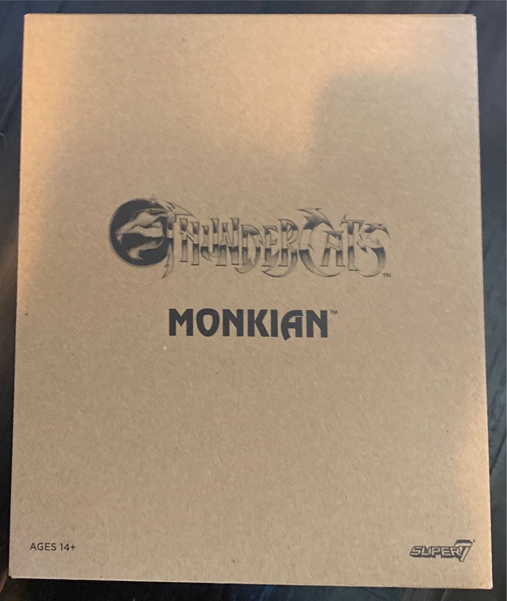 Raving Rabbids (Cowboy)