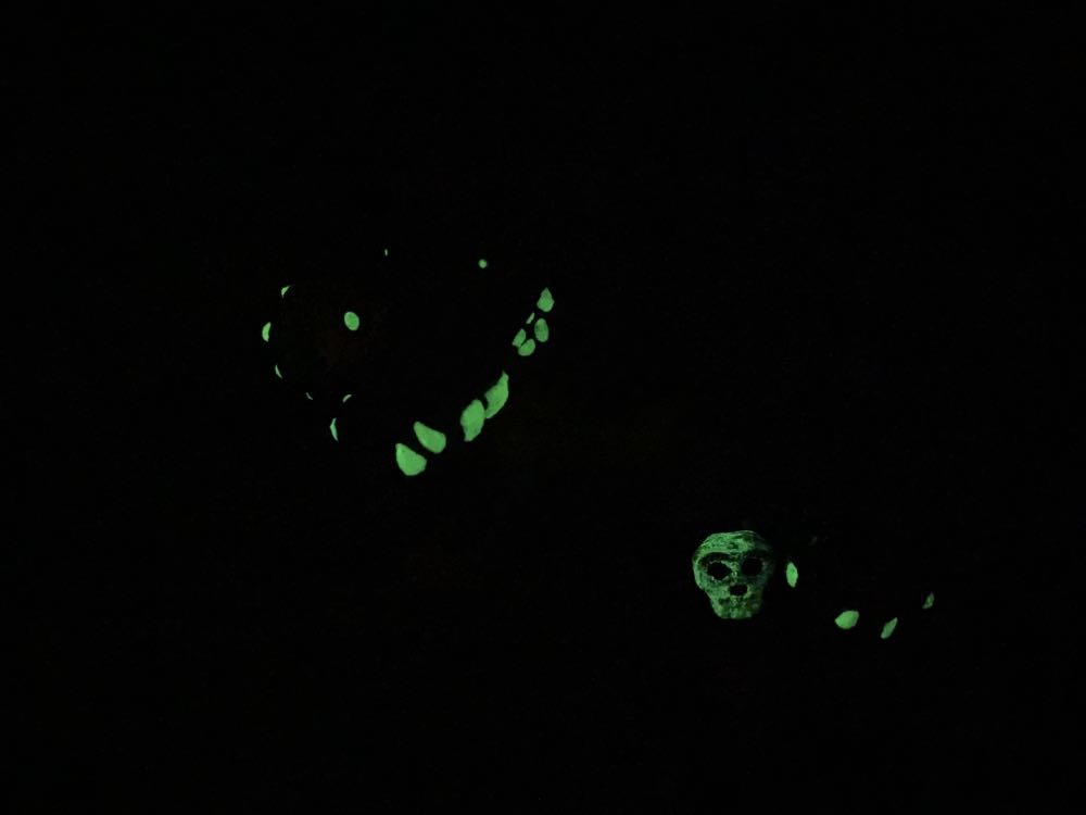 Mondo Al Negator - Yuno Dyva (Teenage Mutant Ninja Turtles) action figure collectible - Main Image 4