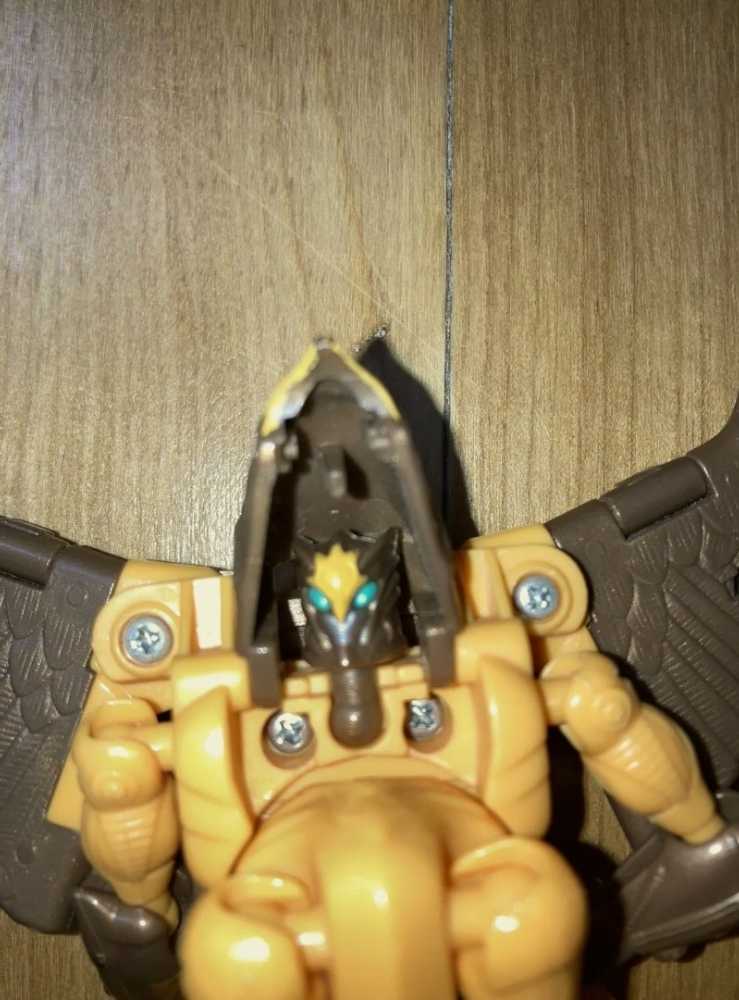 Airazor 2nd Missing Beak - Hasbro (Beast Wars) action figure collectible - Main Image 2