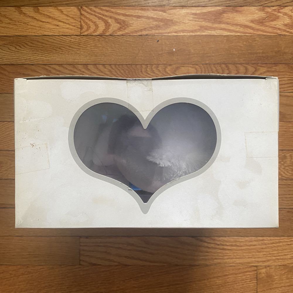 Care Bear 25th Anniversary Tenderheart with DVD  action figure collectible [Barcode 687203302782] - Main Image 3