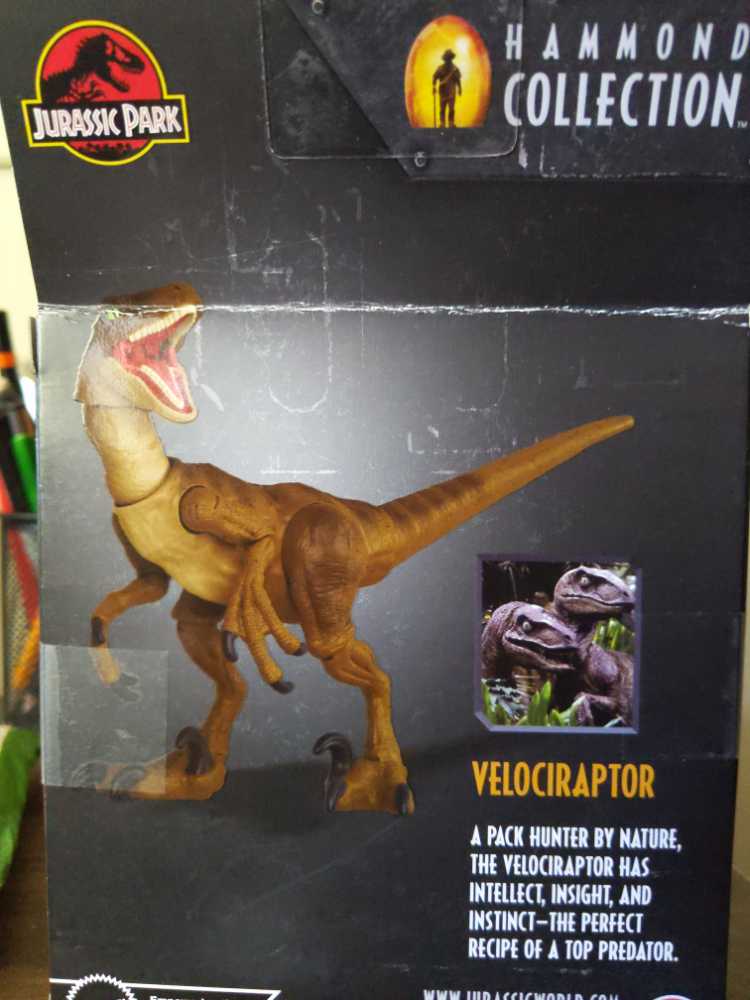 Velociraptor - Mattel (Jurassic World: Hammond Collection) action figure collectible [Barcode 194735039920] - Main Image 3