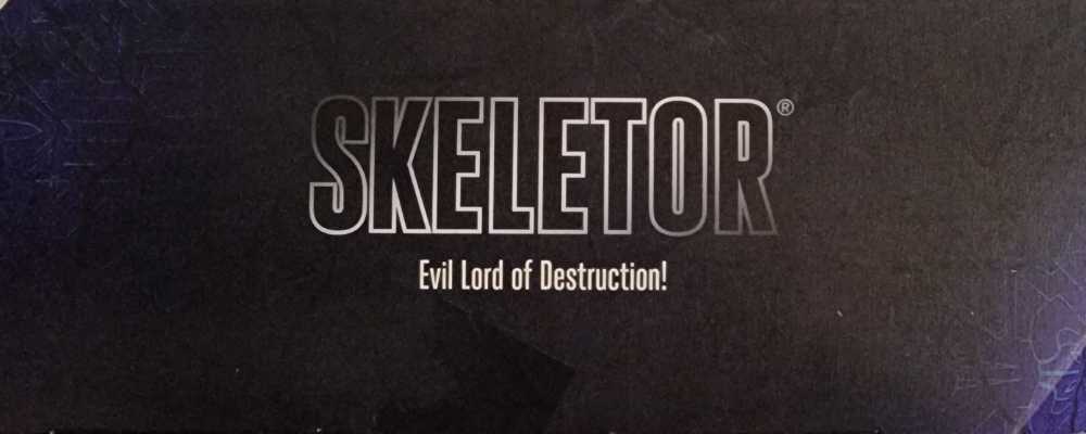 Skeletor - Mattel (Masters Of The Universe) action figure collectible [Barcode 194735030187] - Main Image 3