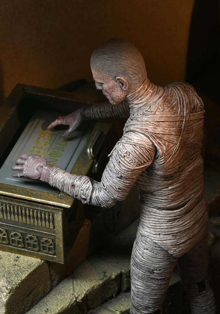 Ultimate The Mummy Accessory Pack - Neca (Universal Monsters) action figure collectible [Barcode 634482048252] - Main Image 4