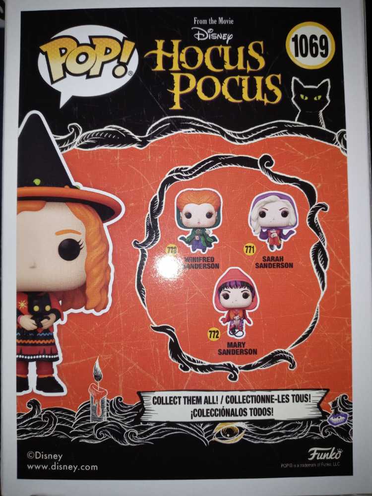 Dani With Binx 1069 - Funko (Disney) action figure collectible [Barcode 889698561204] - Main Image 2