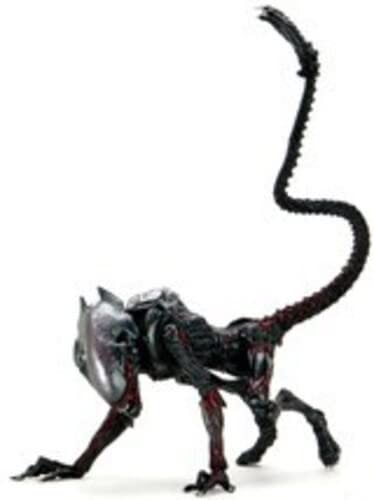 Aliens - Night Cougar Alien - Neca (Aliens) action figure collectible [Barcode 634482517161] - Main Image 1