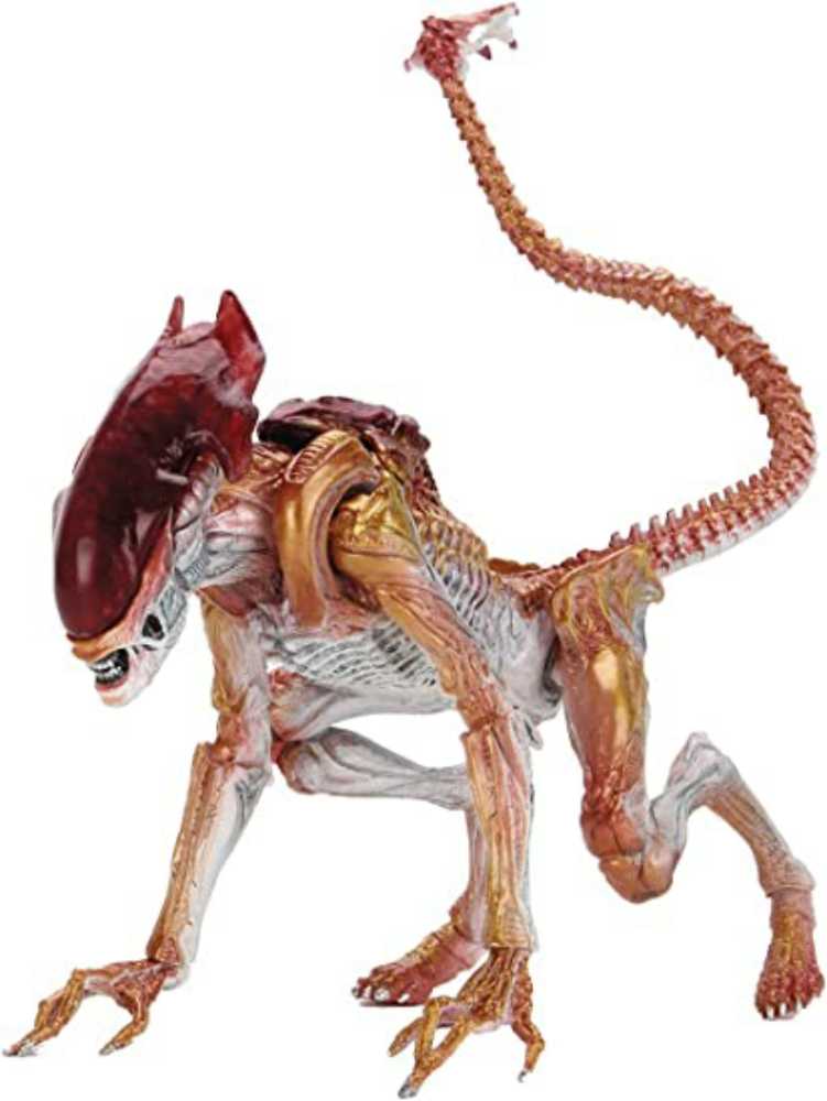 Aliens: Panther Alien - Neca (Aliens) action figure collectible [Barcode 634482517154] - Main Image 2