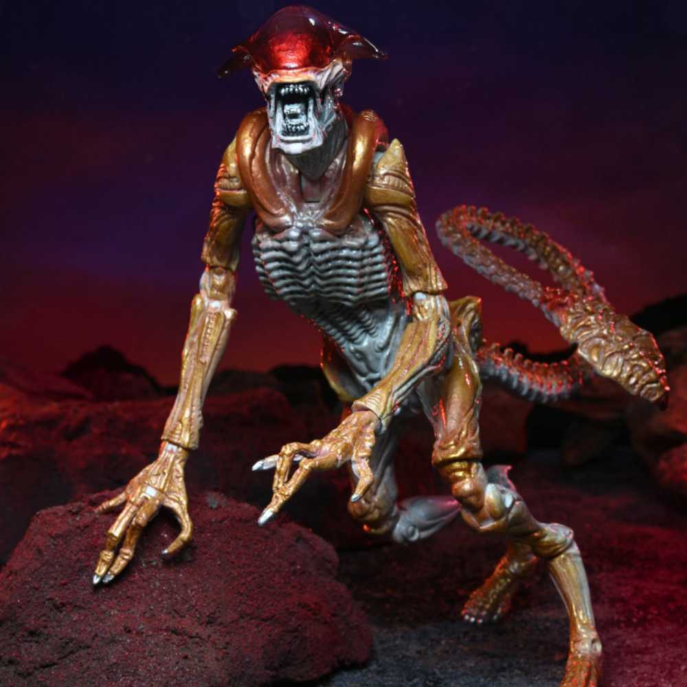 Aliens: Panther Alien - Neca (Aliens) action figure collectible [Barcode 634482517154] - Main Image 4