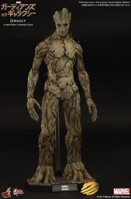 Groot - Hot Toys (Gaurdians Of The Galaxy) action figure collectible - Main Image 1