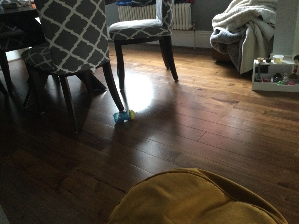 Street Fighter V- Vega