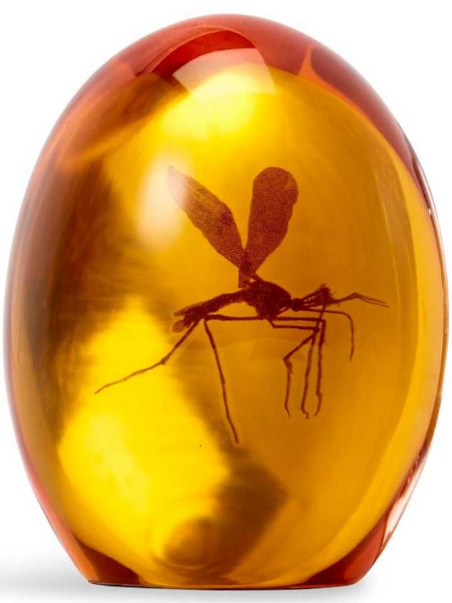 Mosquito In Amber Resin Prop Replica   (Jurrasic Park) action figure collectible [Barcode 849795062660] - Main Image 2
