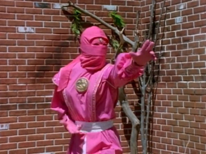 Mighty Morphin Ninja Pink Ranger (Kat) - Hasbro (Power Rangers Lightning Collection) action figure collectible [Barcode 5010994126827] - Main Image 2