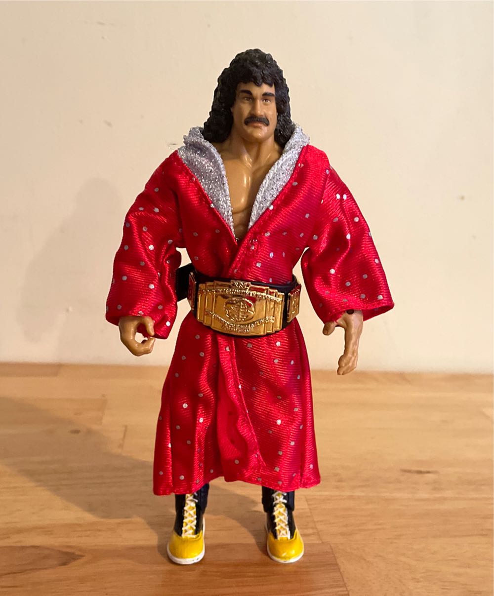 Hulk Hogan, Hollywood