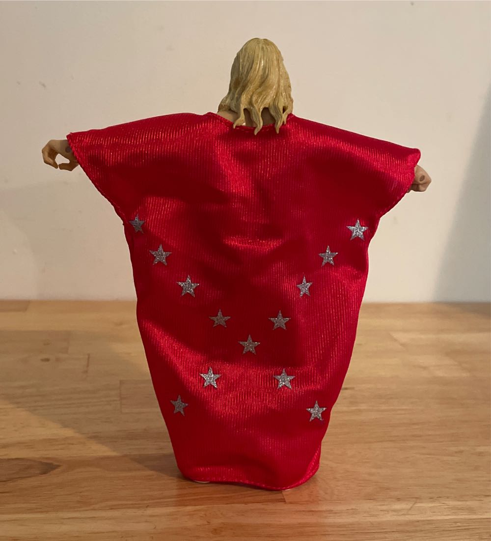 Michael “P. S.” Hayes - WWE Jakks Pacific Classic Superstars (WWE Jakks Pacific Classic Superstars Series 3 Packs Series 5) action figure collectible - Main Image 2