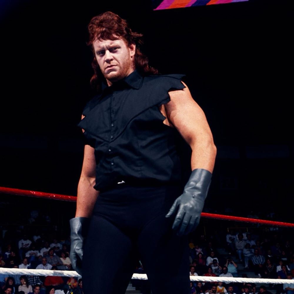 WWE Undertaker action figure collectible - Main Image 3