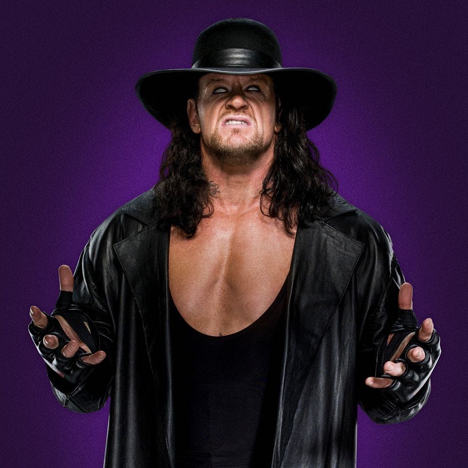 WWE Undertaker - Mattel Wwe action figure collectible - Main Image 3