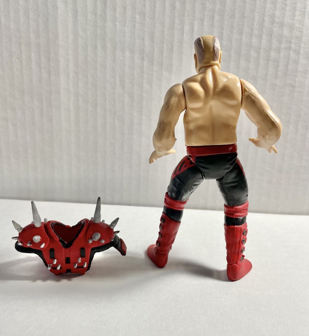 “Blackjack” Windham - WWF Jakks Pacific BCA (WWF Jakks Pacific BCA Tag Team Series 1) action figure collectible - Main Image 4