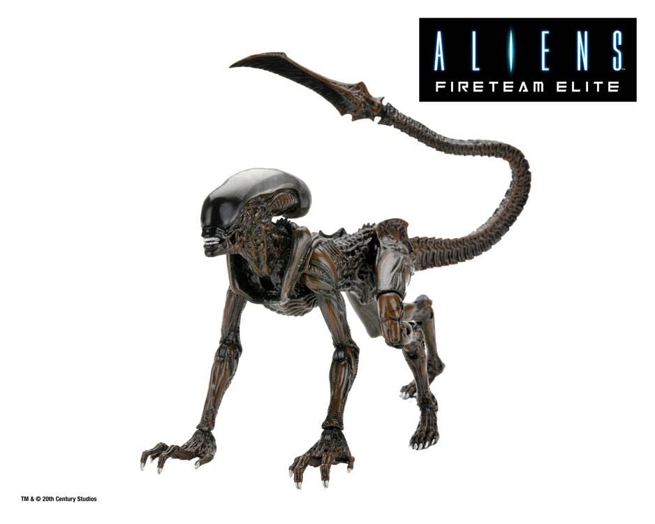 Alien (Runner Alien / Xenomorph) - NECA - Video Games - Alien (Aliens: Fireteam Elite) action figure collectible - Main Image 2