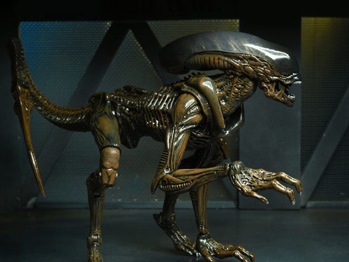 Alien (Runner Alien / Xenomorph) - NECA - Video Games - Alien (Aliens: Fireteam Elite) action figure collectible - Main Image 3