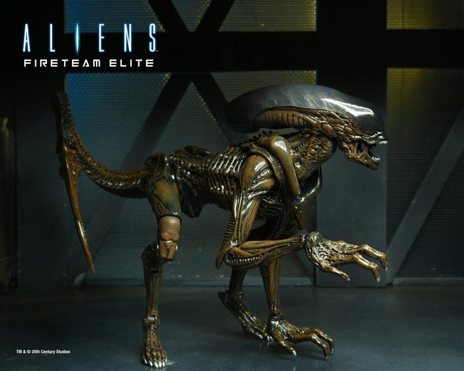 Alien (Runner Alien / Xenomorph) - NECA - Video Games - Alien (Aliens: Fireteam Elite) action figure collectible - Main Image 4