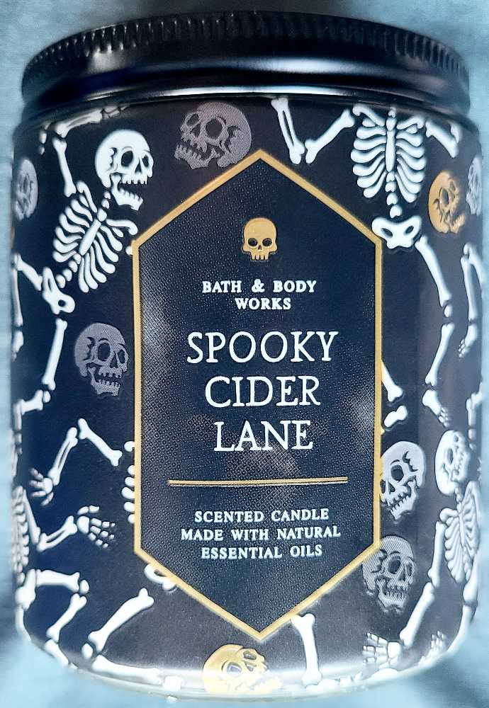 Mighty Morphin Tyrannosaurus Sentry