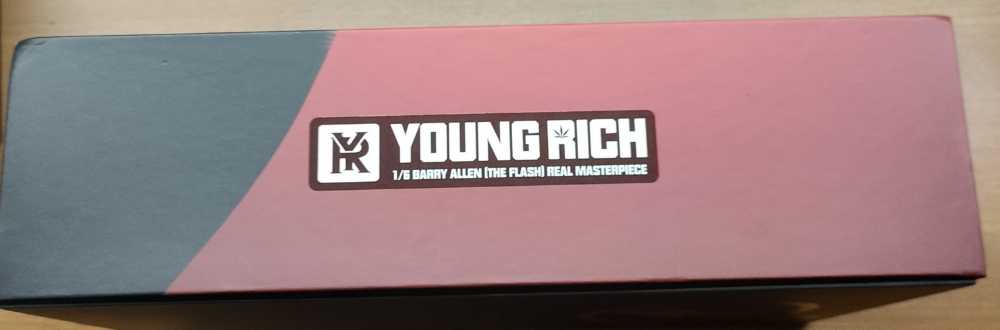 Barry Allen Justice League - YOUNG RICE action figure collectible - Main Image 3