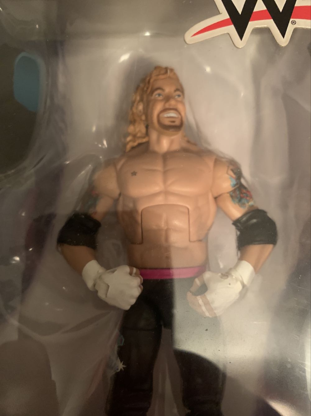 WWE: Diamond Dallas Page - Mattel (WWE) action figure collectible - Main Image 2