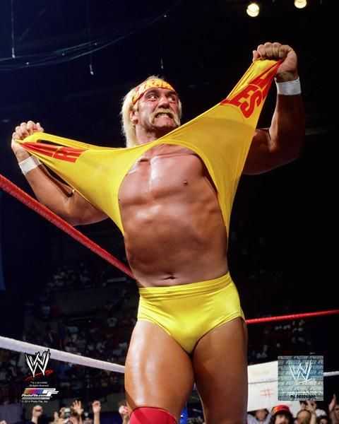 WWE Ultimate Edition Series HULK HOGAN - Mattel (UFC & WWE Ultimate Series) action figure collectible - Main Image 4