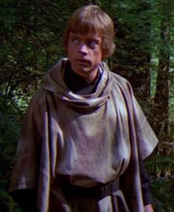 R04 Luke Skywalker (Endor) - Hasbro (Star Wars: The Black Series) action figure collectible - Main Image 4