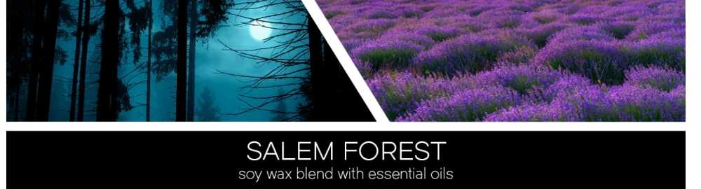 CANDLE: Halloween Goose Creek Hocus Pocus 2 - Salem Forest 2022 - Goose Creek Candle (Halloween Candles) action figure collectible [Barcode 818489019952] - Main Image 4