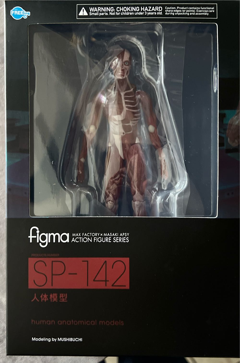 Freeing Human Anatomical Model Figma Action Figuremulticolor - Figma action figure collectible [Barcode 4570001510427] - Main Image 2