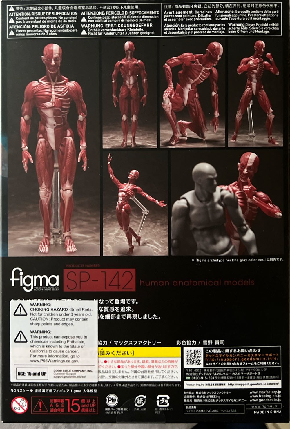 Freeing Human Anatomical Model Figma Action Figuremulticolor - Figma action figure collectible [Barcode 4570001510427] - Main Image 3