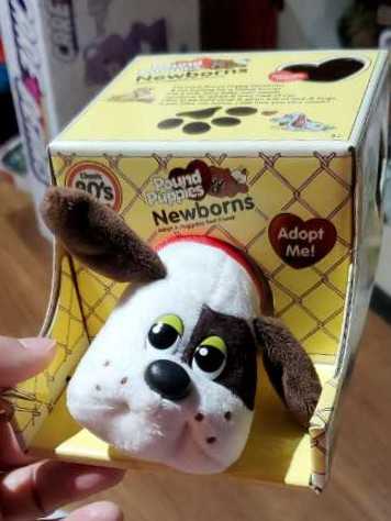 Pound Puppies Newborns W3 White W Dark Brown Spots  action figure collectible [Barcode 885561381252] - Main Image 2