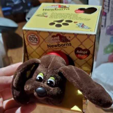 Pound Puppies Newborns W3 Dark Brown  action figure collectible [Barcode 885561381276] - Main Image 2