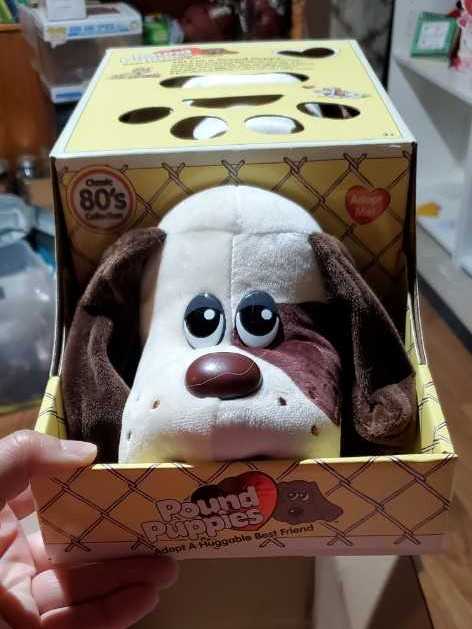 Pound Puppies Classic  action figure collectible [Barcode 885561380958] - Main Image 2