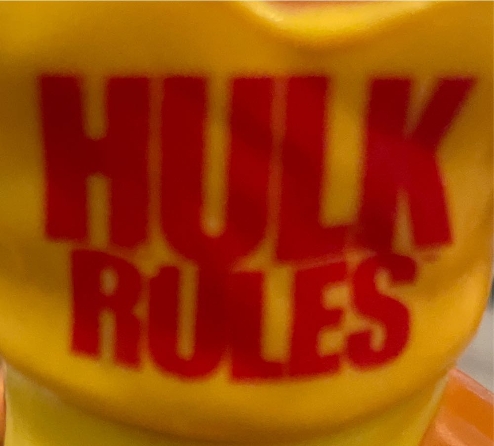 Hasbro: Hulk Hogan - Hasbro action figure collectible - Main Image 2