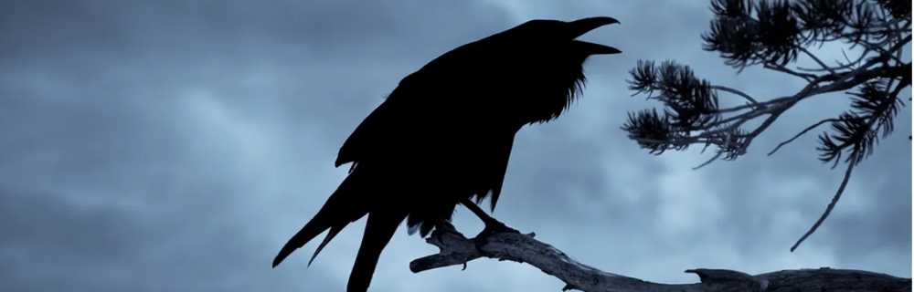 CANDLE: Halloween Kringle Nevermore 2022 - Kringle Candle (Halloween Candles) action figure collectible [Barcode 846853081144] - Main Image 4