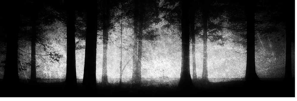 CANDLE: Halloween Kringle Coffin Rock 2022 - Kringle Candle (Halloween Candles) action figure collectible [Barcode 846853081069] - Main Image 4