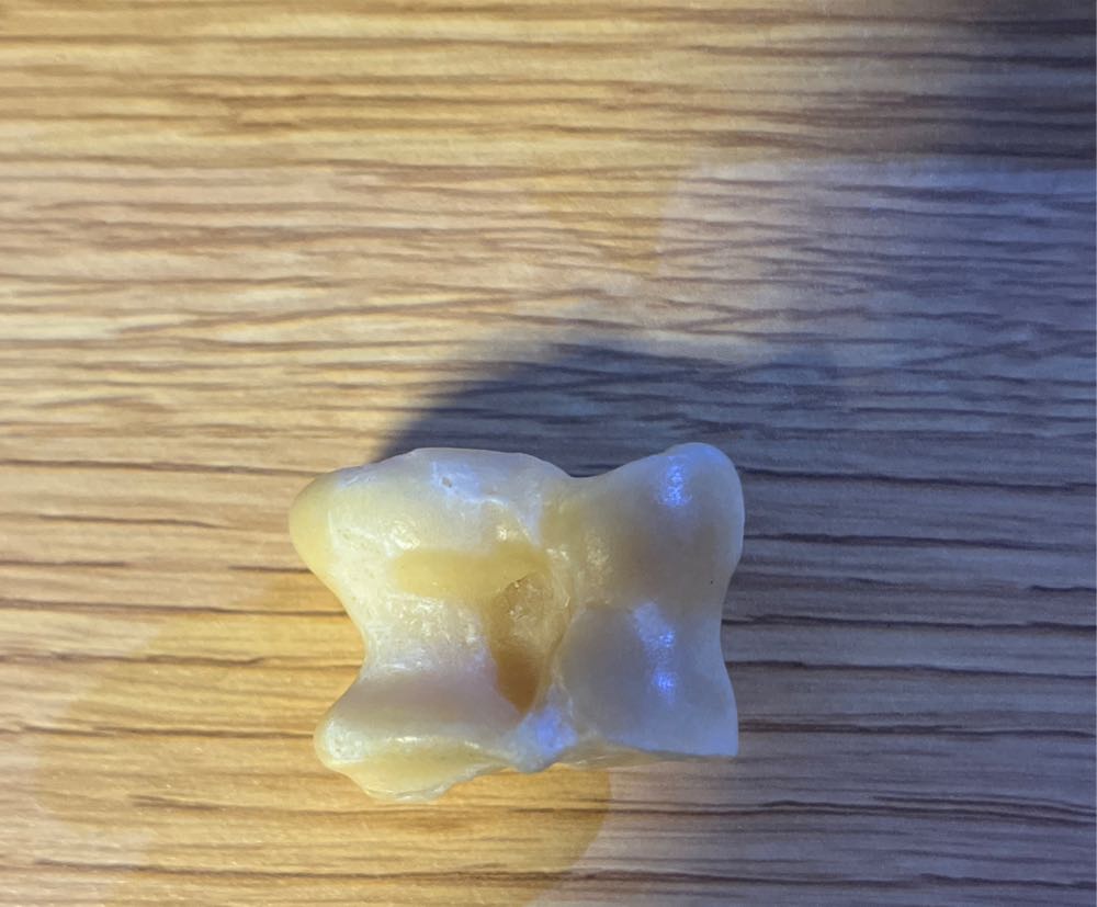 Sheeps Knuckle (?)  action figure collectible - Main Image 2