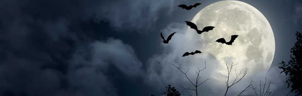 CANDLE: Halloween Kringle Witching Hour 2023 - Kringle Candle (Halloween Candles) action figure collectible [Barcode 846853081212] - Main Image 4