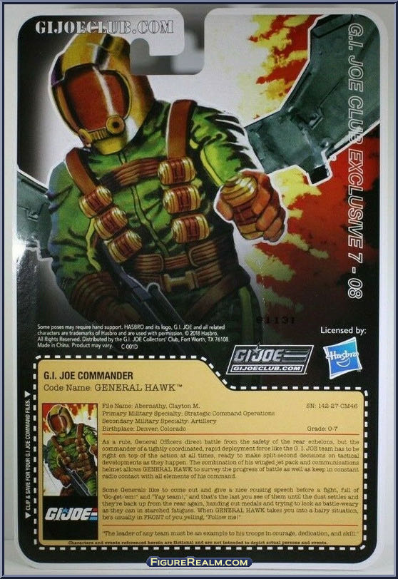 Hawk - Hasbro GI Joe (GI Joe Collector’s Club) action figure collectible - Main Image 2