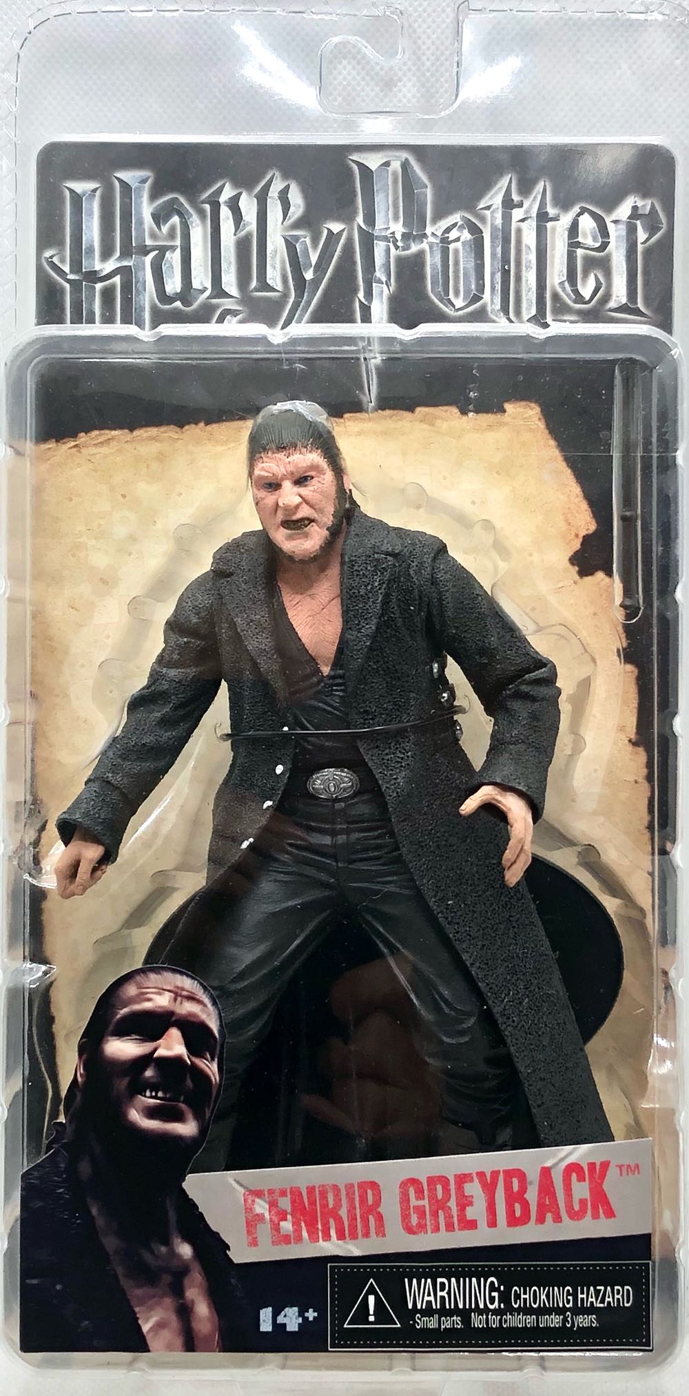 1009 則卷阿拉蕾 貓耳Ver.＆小卡 天才博士與機器娃娃