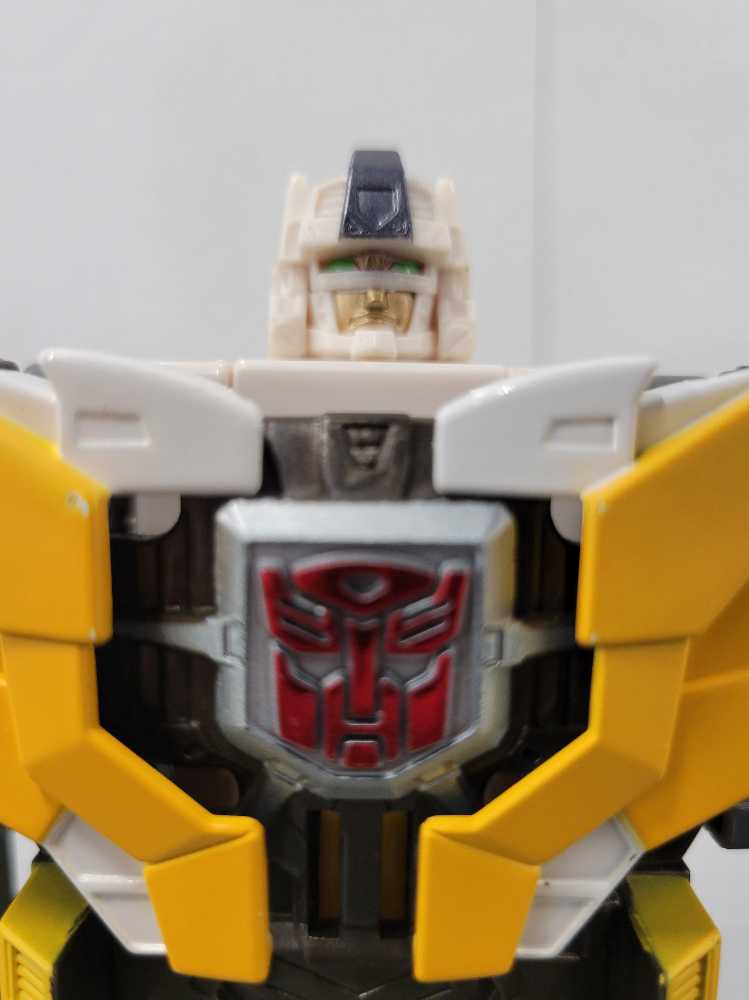 Muhammad Hassan & Khosrow Daivari - Jakks Adrenaline Series