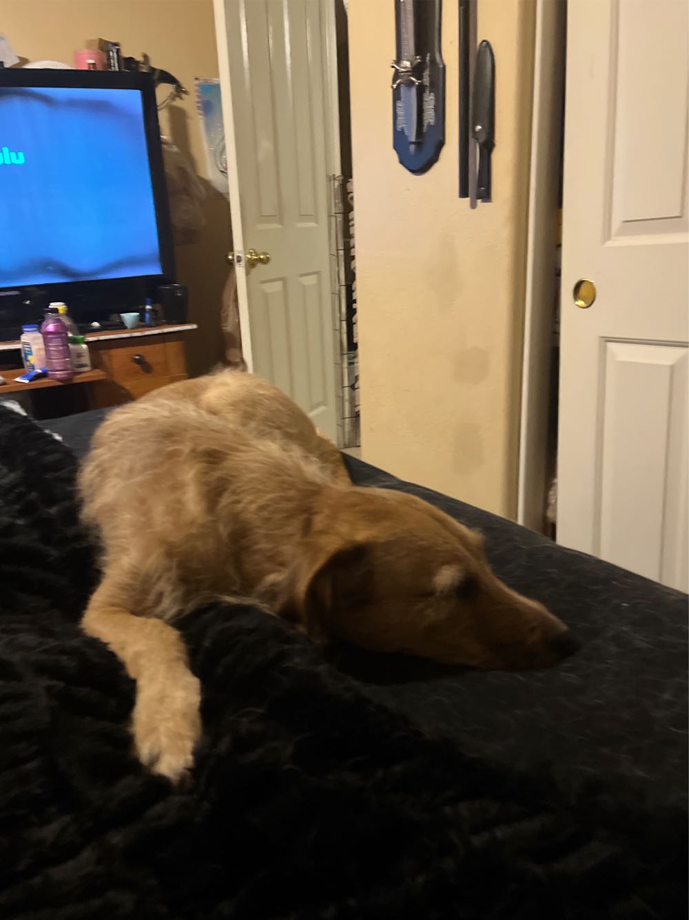 Star Wars: Thrawn Ascendancy Book Ii: Greater Good Star Wars: The Ascendancy Trilogy