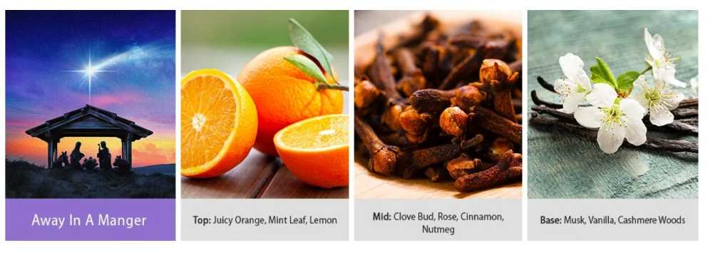 CANDLE: Christmas Kringle Away In A Manger 2 Wick  2022 - Kringle Candle (Christmas Candles) action figure collectible [Barcode 846853078885] - Main Image 3