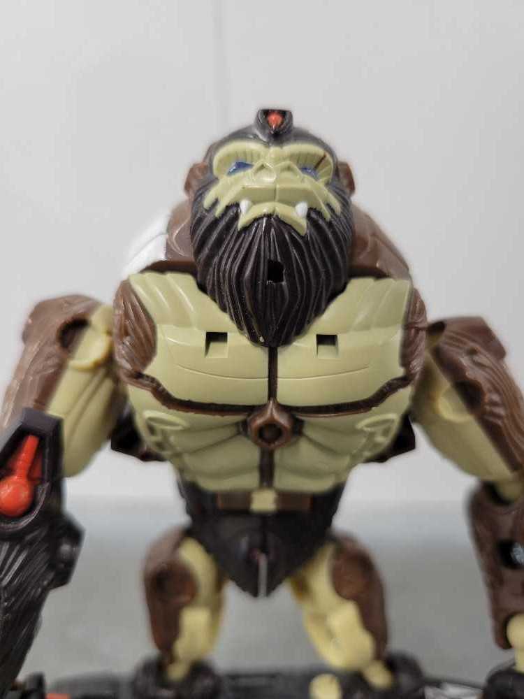 Stone Cold Steve Austin